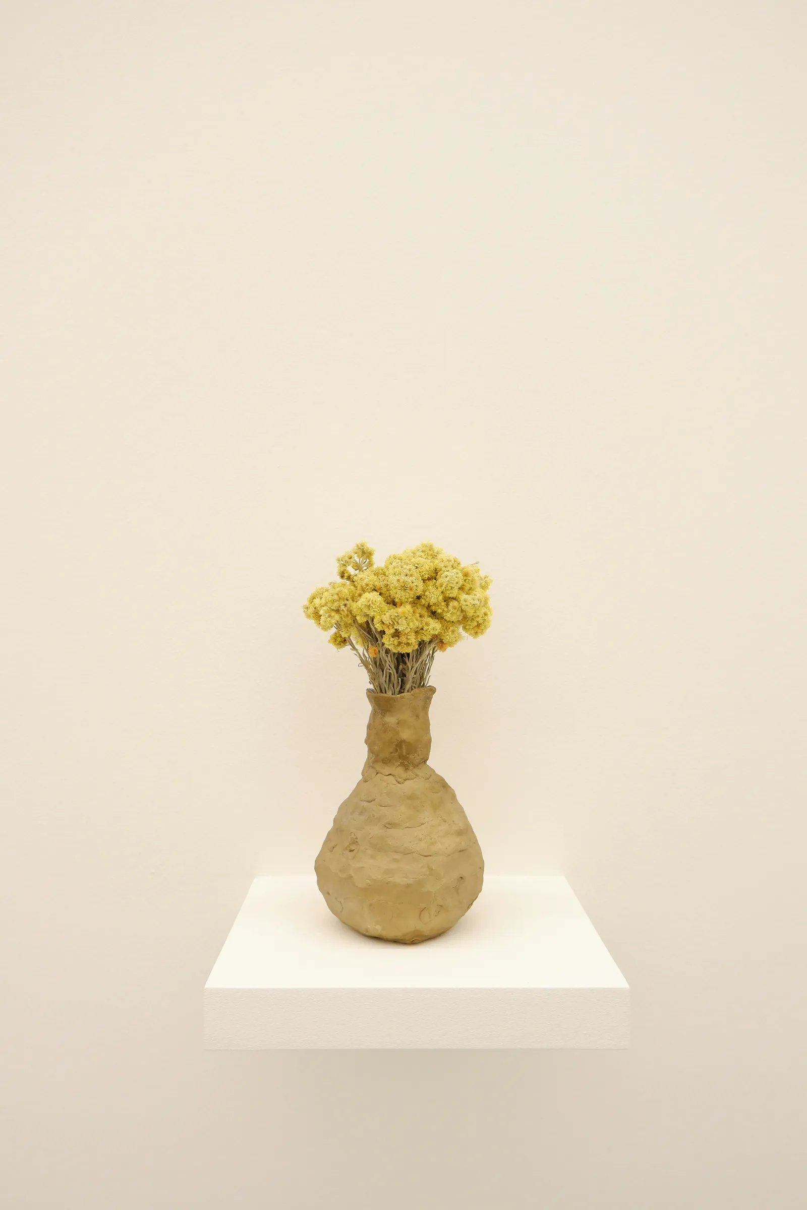 New collection